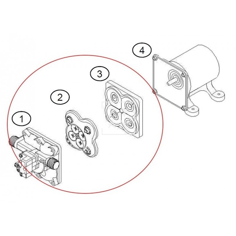 CABEZAL BOMBA SHURFLO 11L