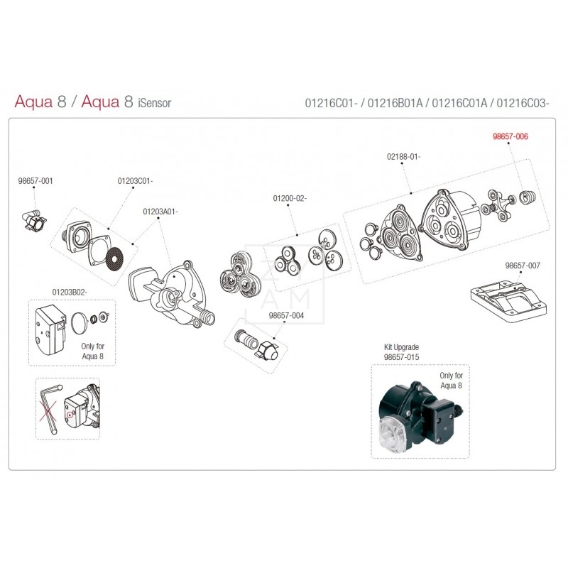 EXCENTRICA BOMBA AQUA 8