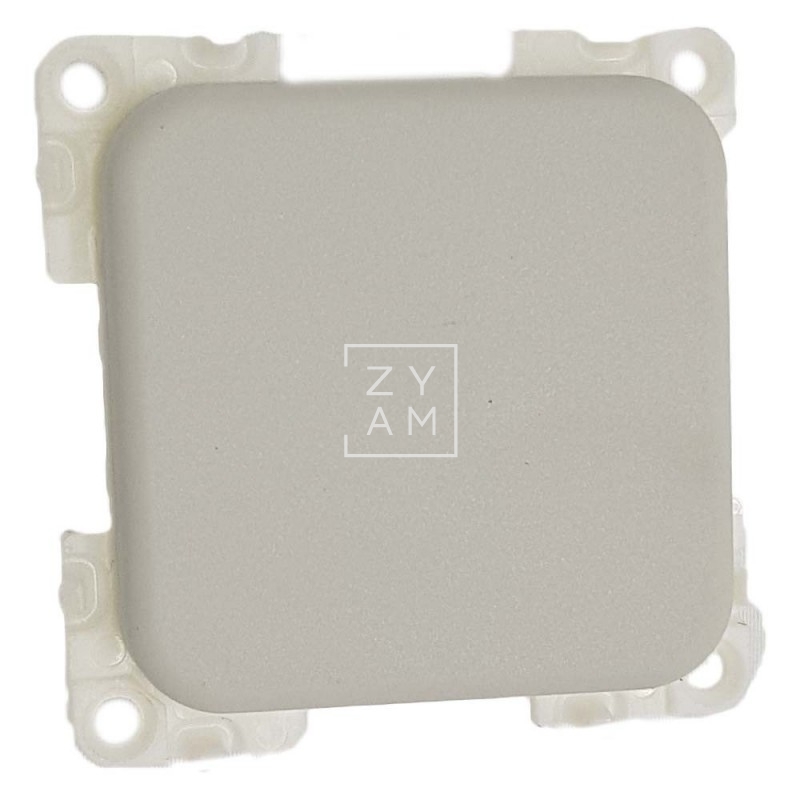 INTERRUPTOR GRIS CLARO