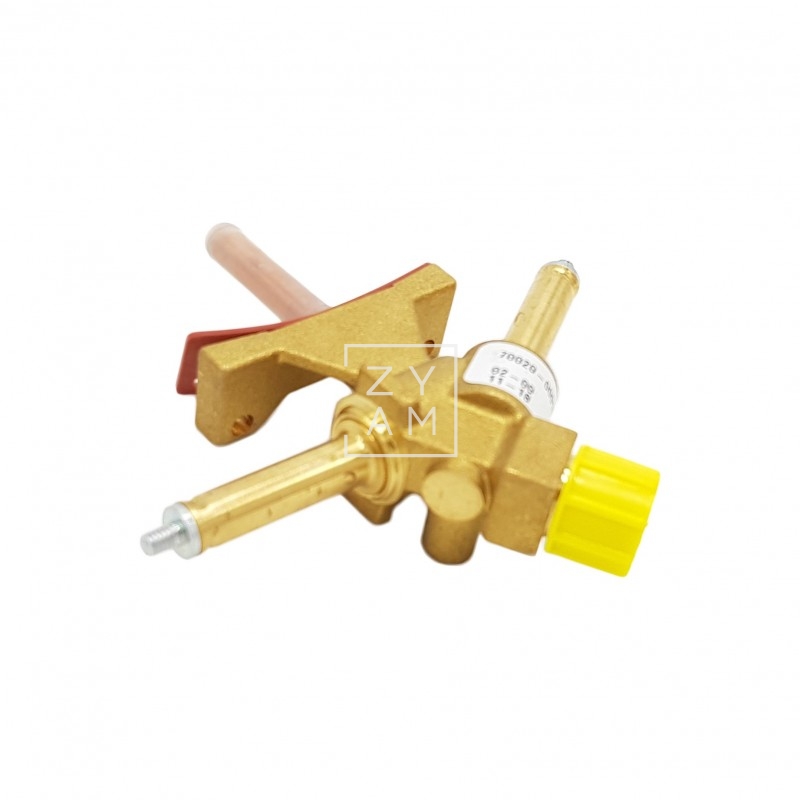 TERMO TRUMA ELECTROVAL. GAS BG