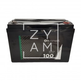 BATERIA LITIO LIFEPO4 100 Ah