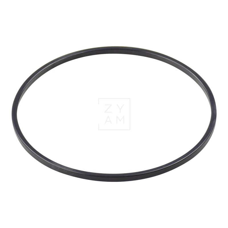 ANILLO SOPORTE JUNTA CTS3000/4000