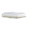 Claraboya Asas 40 Beige