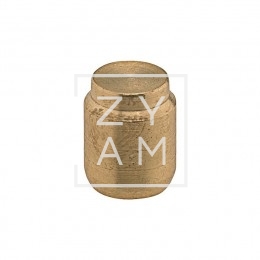 Tapon Ojiva Gas 10 Mm.