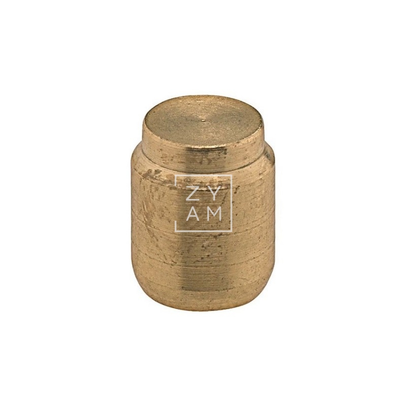 Tapon Ojiva Gas 10 Mm.