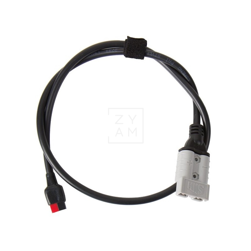 Panel solar plegable de 100W con puertos USB, ideal para camping y caravanas.