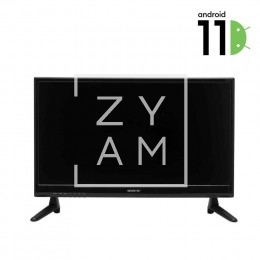 Televisor Smart Emmits 21.5" Full HD para Autocaravanas