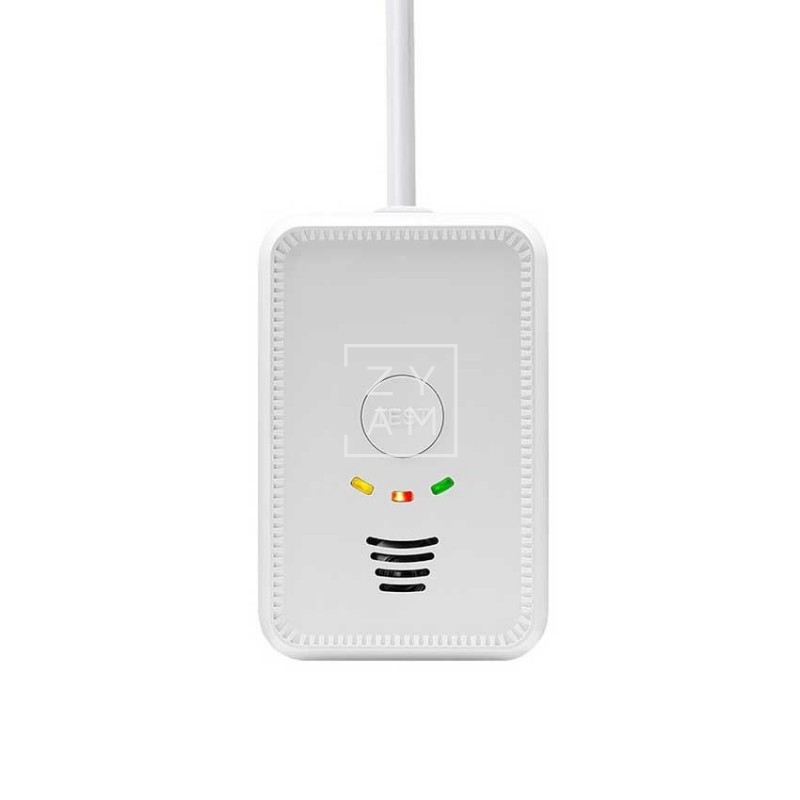 Detector de Gas GLP y CO 2 en 1 para Camper y Hogar - Zyam.es