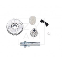 Kit Engranajes Transmision Remitop