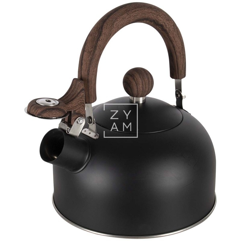 Hervidor Silbador Kettle 1,2 L de Acero Inoxidable - Compacto y Práctico