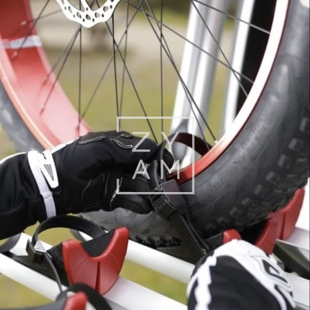Canalina Rail Premium S FAT Bike