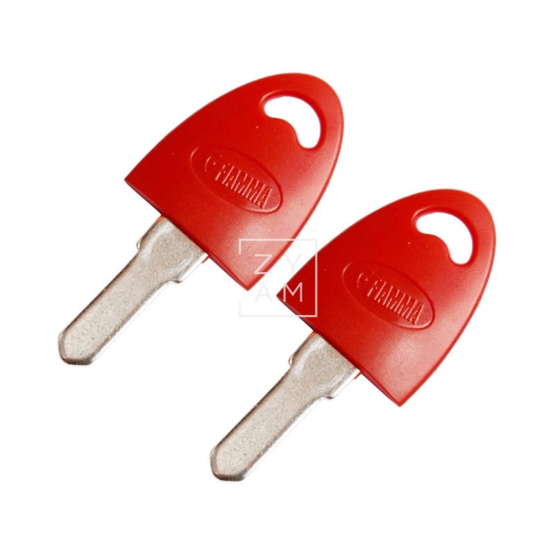 Llave Virgen Safe Door Fiamma