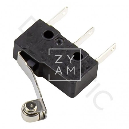 Micro Interruptor WC CTS3000/4000 Micro Interruptor WC CTS3000/4000