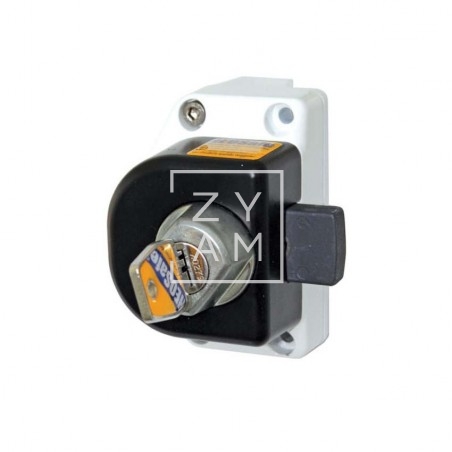 Cerradura HeoSafe Cabina Renault Master III