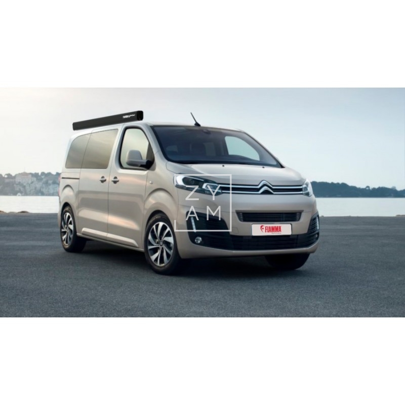 TOLDO F45S PSA 260 P.W./R.G.