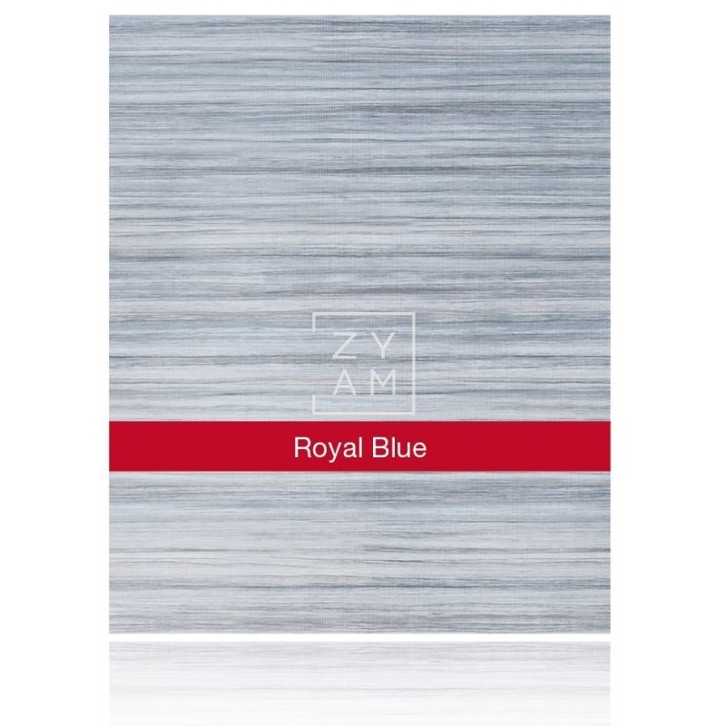 TOLDO CARAVANSTORE XL 310