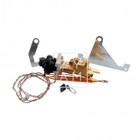 VALVULA GAS S3002/S5002 COMPLETO/21