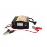 CARGADOR AUTO 12V /20A REG.