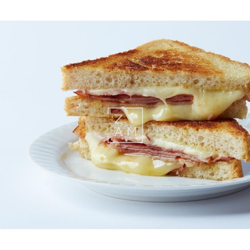 SANDWICHERA CROQUE KAMPA