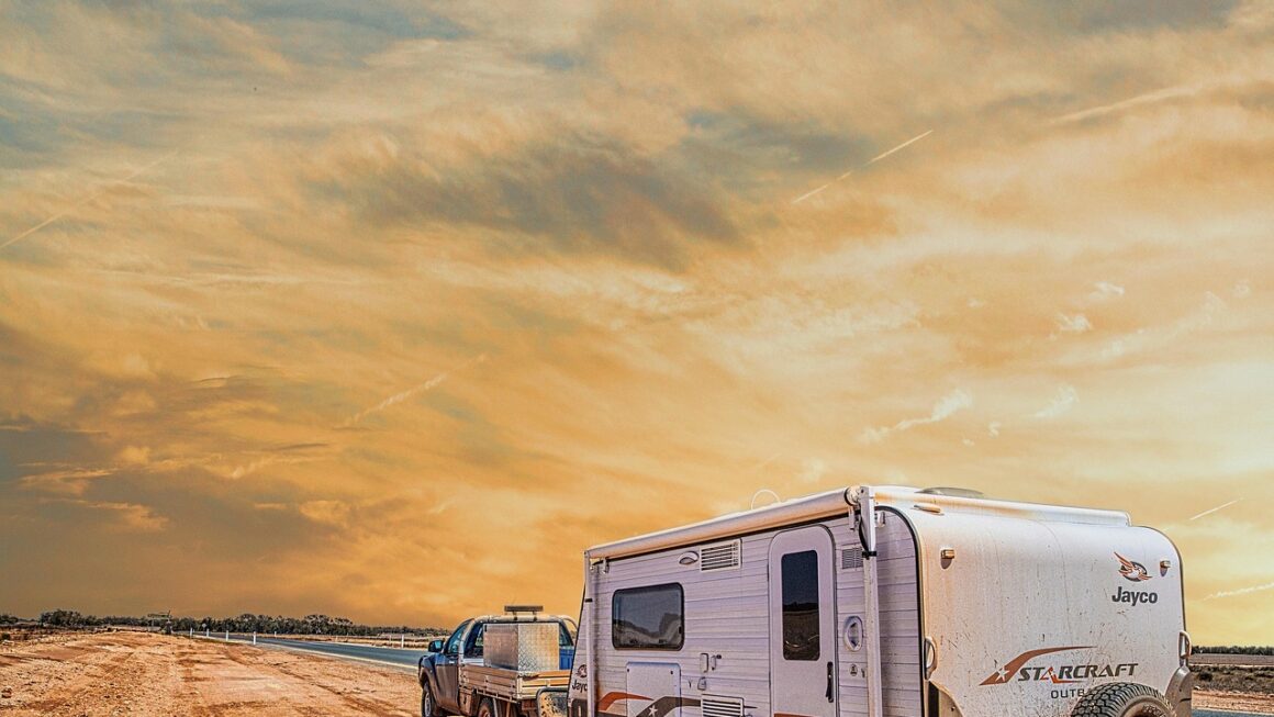 Viajar con mascotas en caravana: normativa y tips