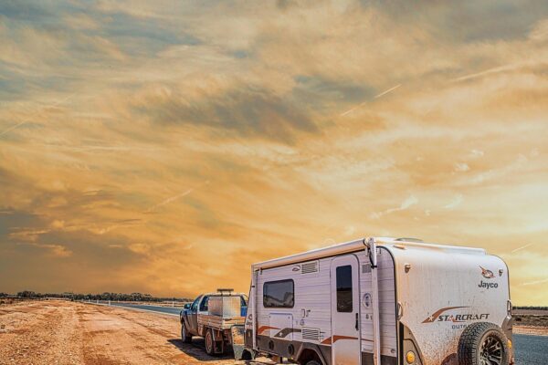 Viajar con mascotas en caravana: normativa y tips